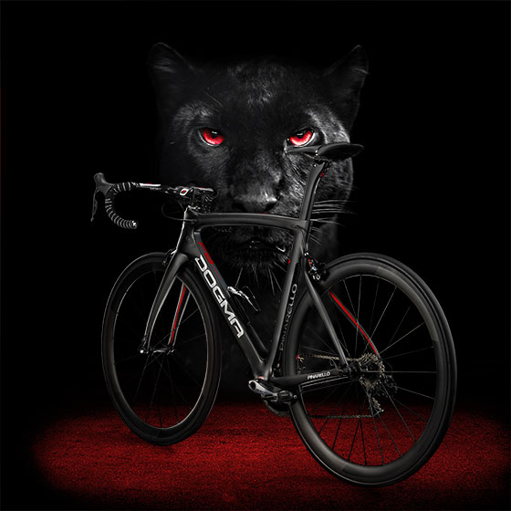 DOGMA F8 world premiere