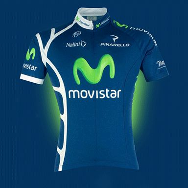 PROFESSIONAL TEAM JERSEY